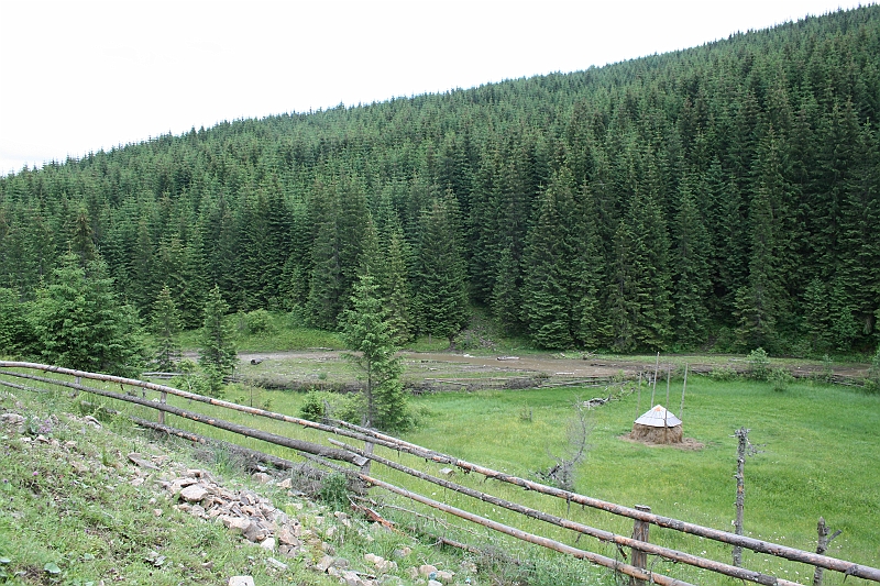 Original image
